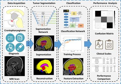 Deep-learning-based automatic segmentation and classification for craniopharyngiomas